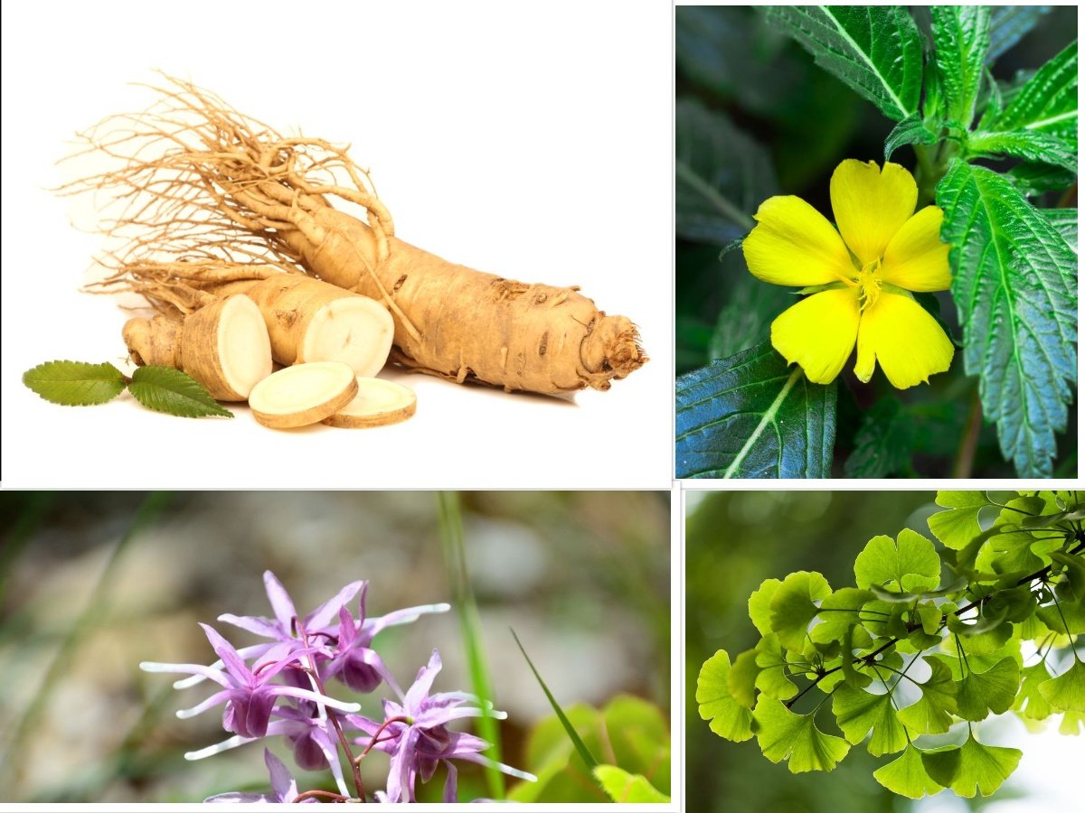 4 Natural Herbs That Increase You Sex Strength